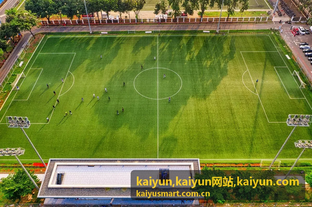 kaiyun网站数据看板示意图