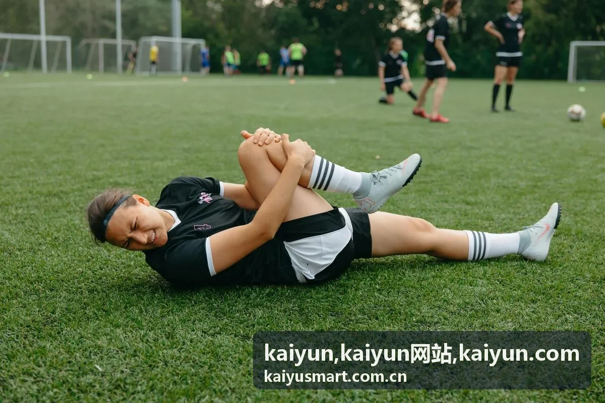 kaiyun网站整体规划服务图