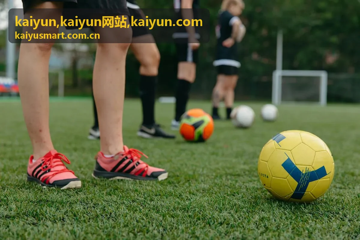 kaiyun网站建设指南专题封面
